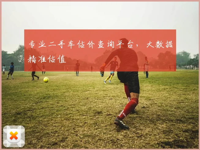 专业二手车估价查询平台,大数据精准估值