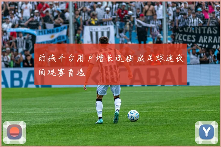 雨燕平台用户增长迅猛 成足球迷夜间观赛首选