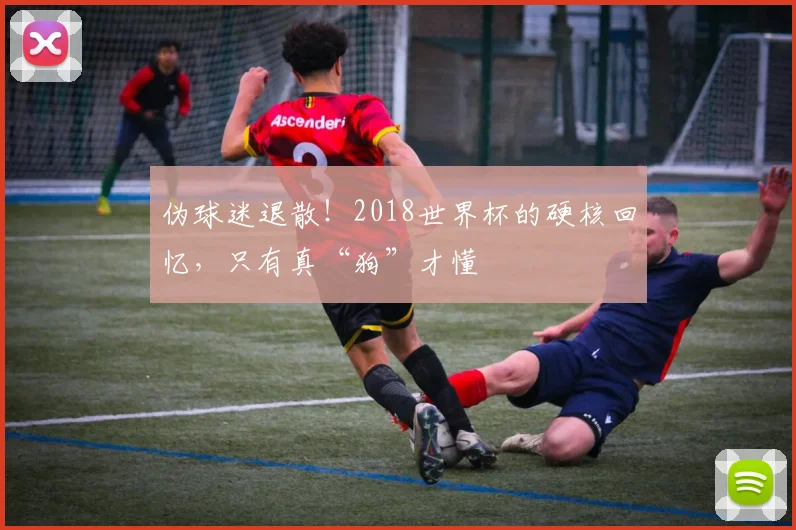 伪球迷退散！2018世界杯的硬核回忆，只有真“狗”才懂