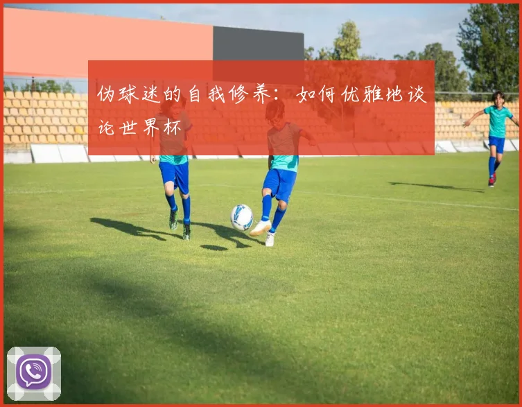 伪球迷的自我修养：如何优雅地谈论世界杯